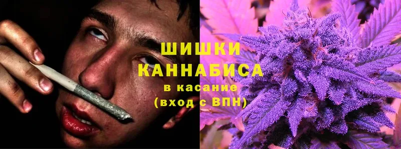 Шишки марихуана Ganja  Рубцовск 